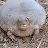 1036374858