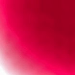 1039876529