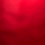 1070120361