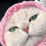 1113034565