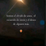 13949026 avatar