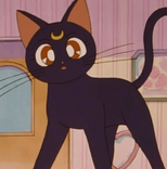 19511859 avatar