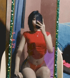20459433