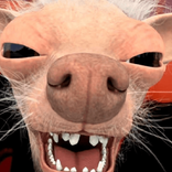 2067684882150779905 avatar