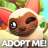 2091565238900952065 avatar