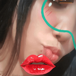 21178763