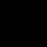 21217196