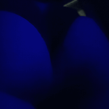 23219303 avatar