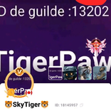 23271853