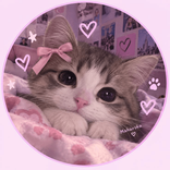 26309101 avatar