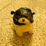 27351327 avatar