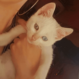 28562087 avatar