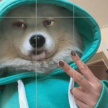 31312611 avatar