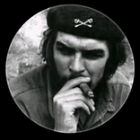 .313409524 avatar