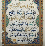 32869351