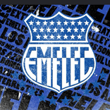 33613268 avatar