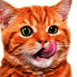 34218280 avatar