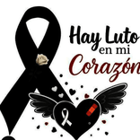 34766283 avatar