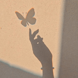 7butter_fly avatar