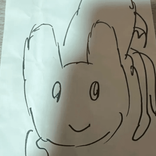 8lex.z_