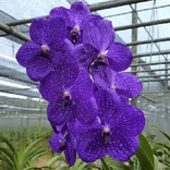 M4war01