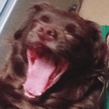 Sizelu avatar