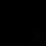 Zdioray_