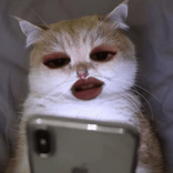 aeiou_e avatar