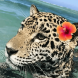 alessia1395 avatar