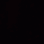 ali00311412