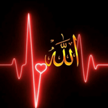 allah.761 avatar