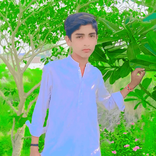 alqpc8 avatar