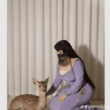 amirasgn18