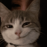 anaasvia avatar