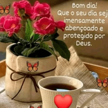 angelicamelo452