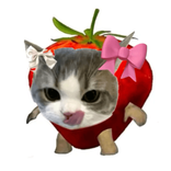 annavoid