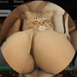 arab1kc avatar