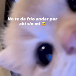 arianna1337 avatar