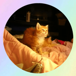 auntieangels avatar