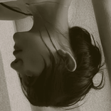 avokado_292