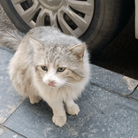 aydinli005