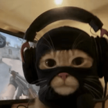 bakug466 avatar