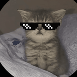 bela160685 avatar