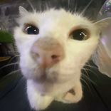 ben340491 avatar