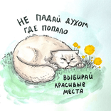 _biblio_maniac