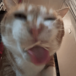 bmmtw2