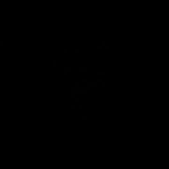 bug_ho3