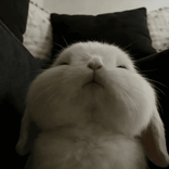 bunnybibi_44
