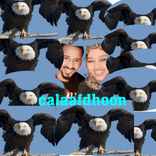 calaafdhoon avatar