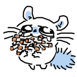caxx5d2